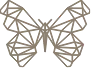 Butterfly Chevron